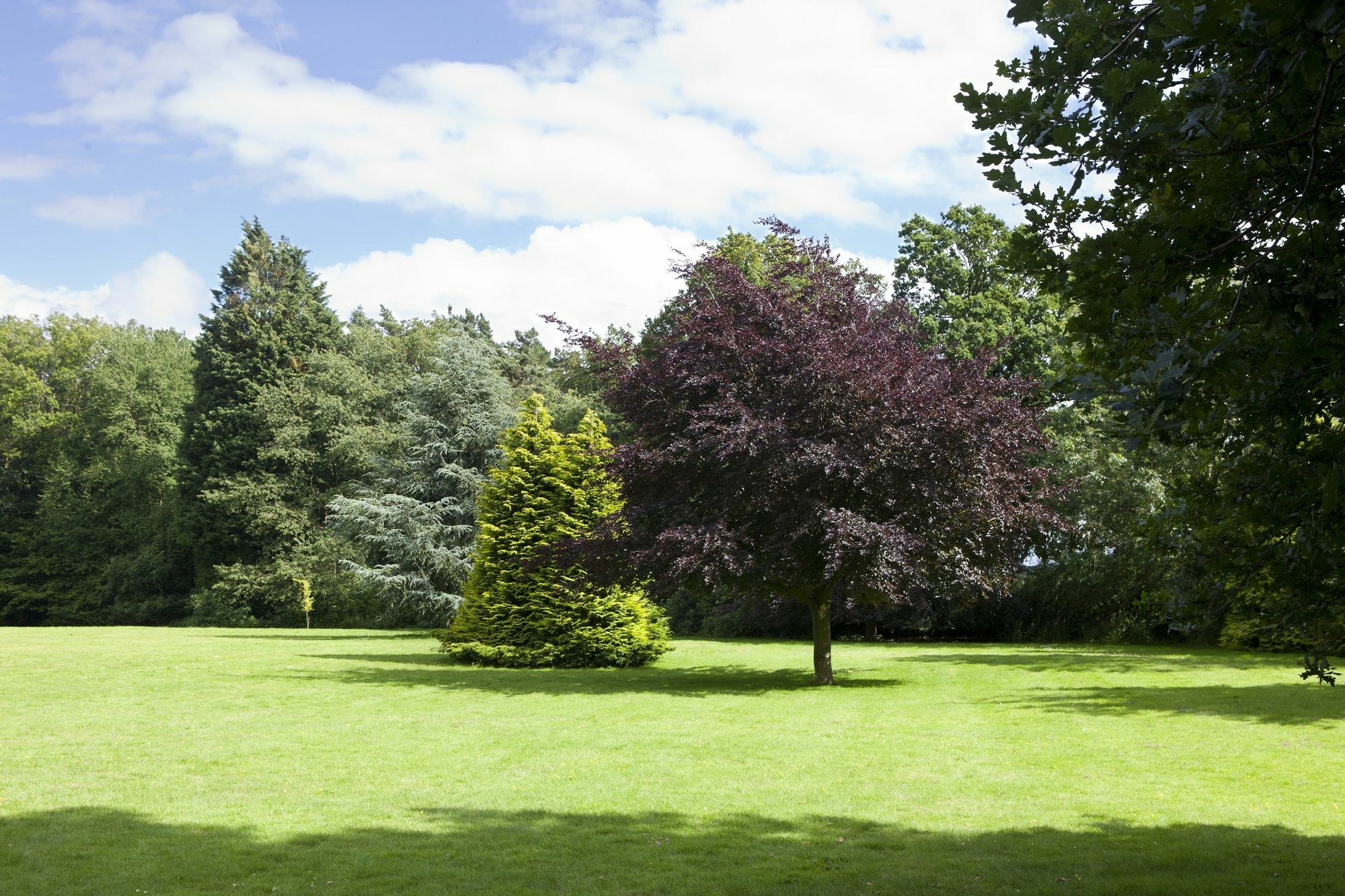 Audleys Wood Hotel, Basingstoke Esterno foto